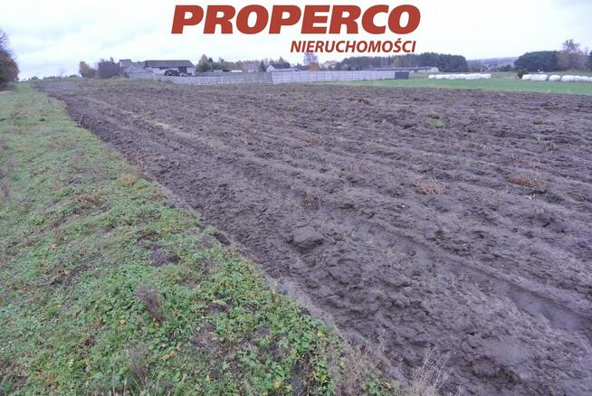 Działka Jędrzejów Borki