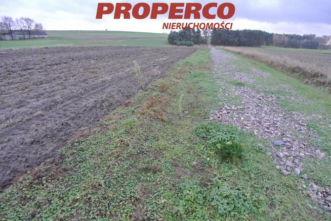 Działka Jędrzejów Borki