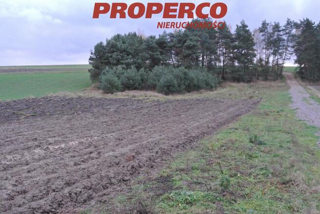 Działka Jędrzejów Borki