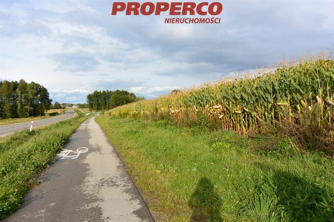 Działka Czałczyn gm. Łopuszno