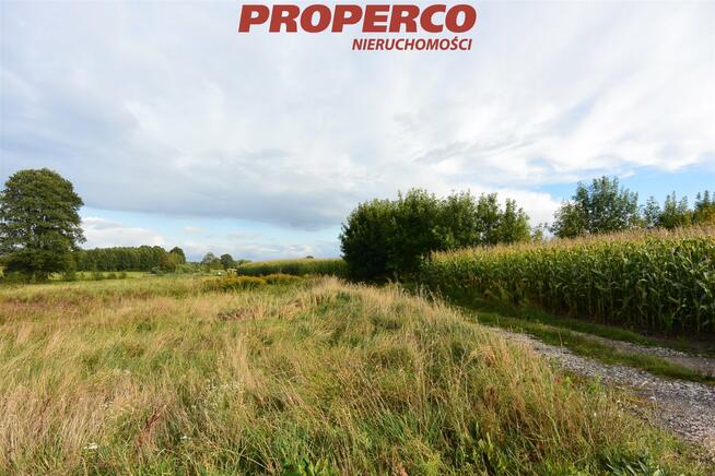 Działka Czałczyn gm. Łopuszno