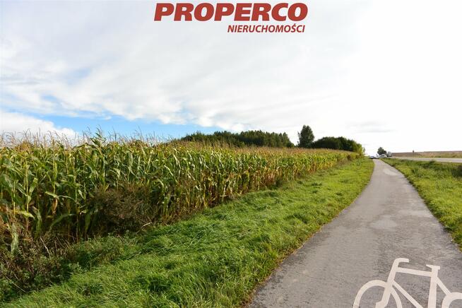 Działka Czałczyn gm. Łopuszno