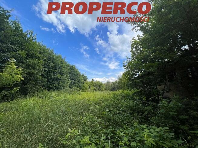 Działka Jędrzejów, Aleja Armii Krajowej