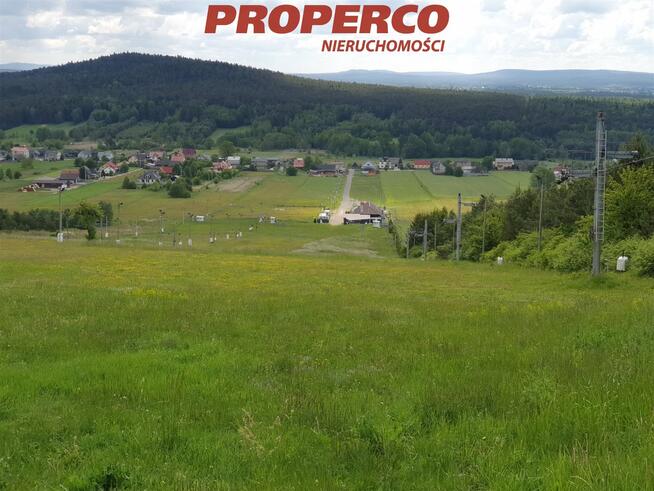 Lokal użytkowy Daleszyce Niestachów