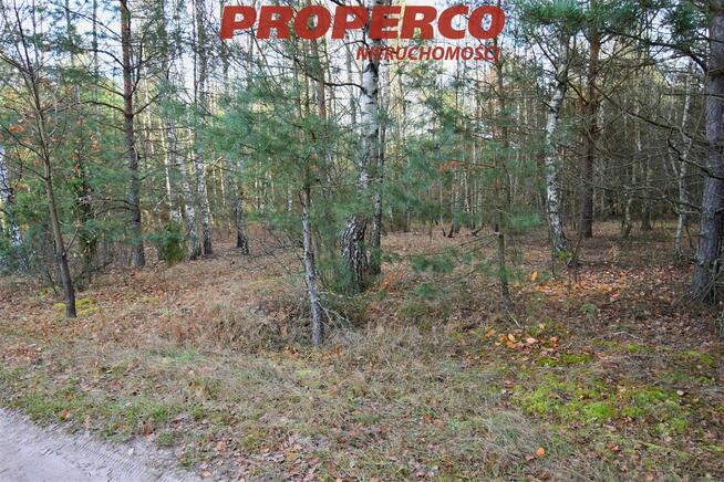 Działka rekreacyjna Pągowiec gm. Raków