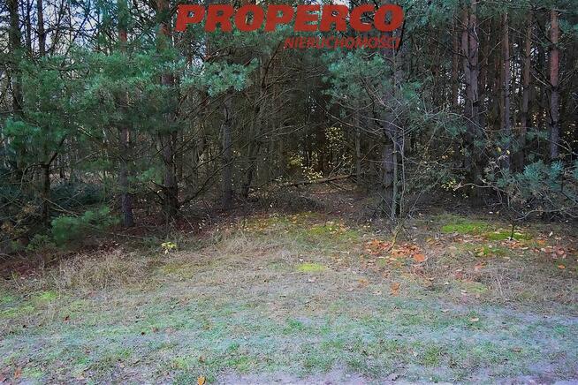 Działka rekreacyjna Pągowiec gm. Raków