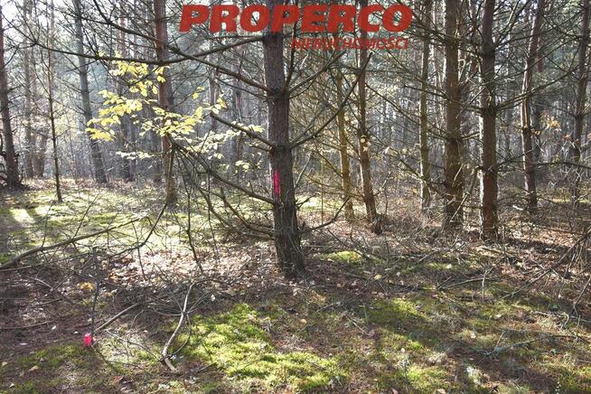 Działka rekreacyjna Pągowiec gm. Raków