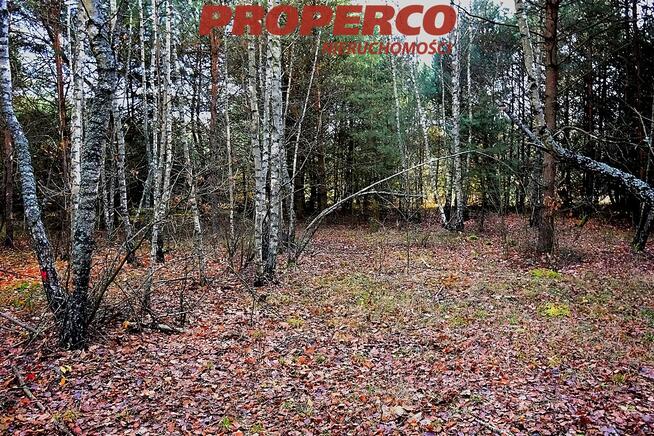 Działka rekreacyjna Pągowiec gm. Raków