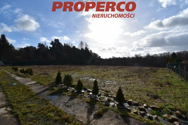 Działka leśna Wola Kopcowa gm. Masłów