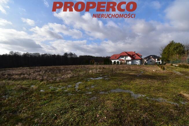 Działka leśna Wola Kopcowa gm. Masłów