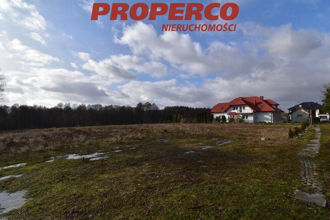 Działka leśna Wola Kopcowa gm. Masłów