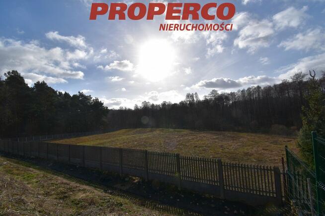 Działka leśna Wola Kopcowa gm. Masłów