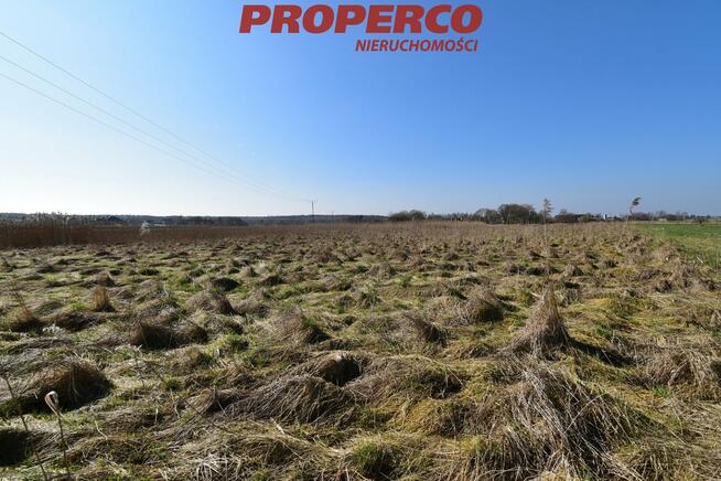 Działka Oblęgorek gm. Strawczyn