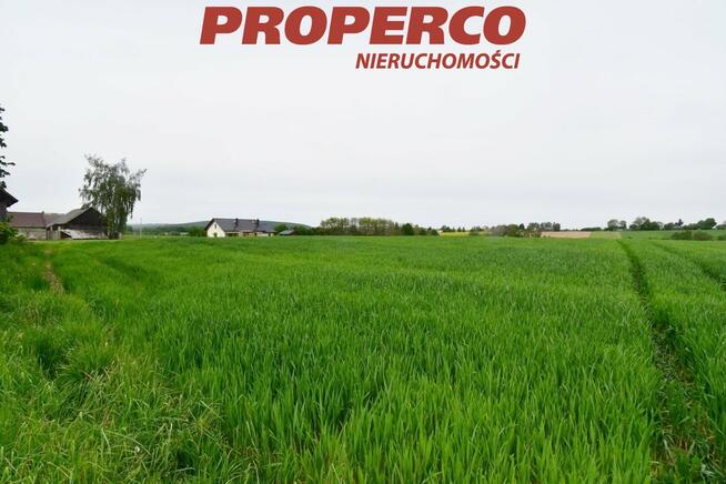 Działka Jeleniów gm. Nowa Słupia