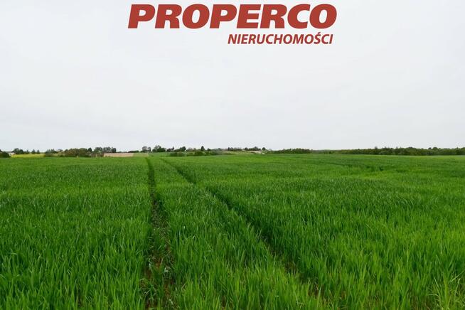 Działka Jeleniów gm. Nowa Słupia