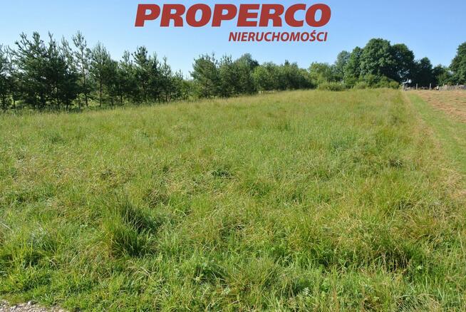 Działka Radomice gm. Morawica