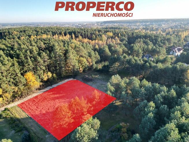 Działka Bilcza gm. Morawica