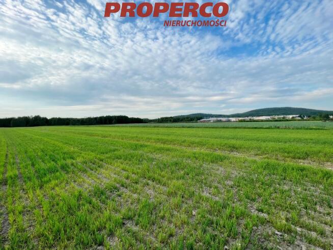 Działka Piotrowiec gm. Łopuszno, Nowowiejska