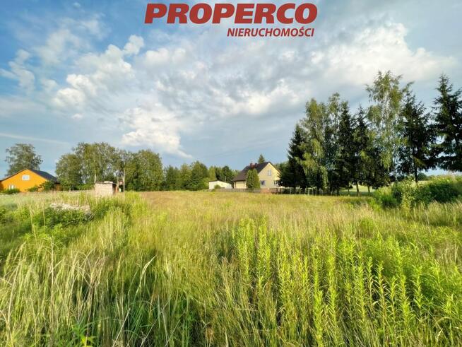 Działka Brynica gm. Piekoszów