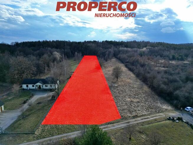 Działka Jaworznia gm. Piekoszów