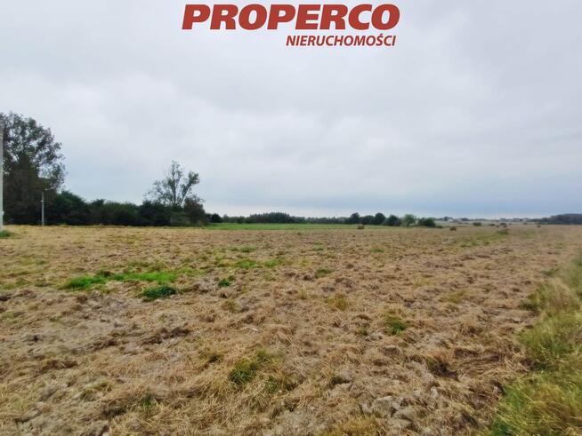 Działka Brynica gm. Piekoszów