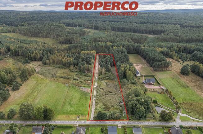 Działka Szałas gm. Zagnańsk