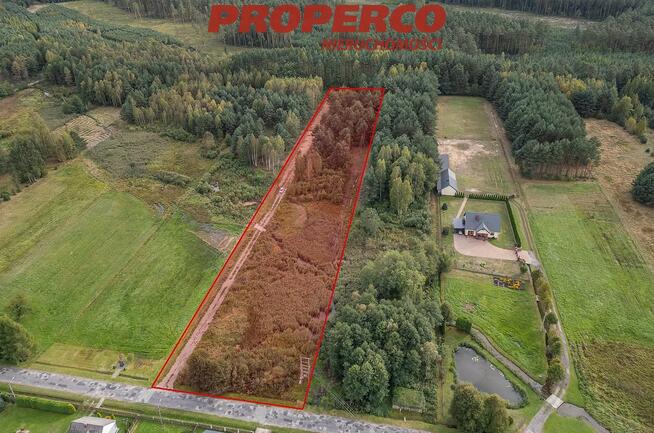 Działka Szałas gm. Zagnańsk