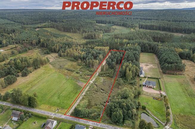 Działka Szałas gm. Zagnańsk