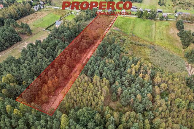 Działka Szałas gm. Zagnańsk