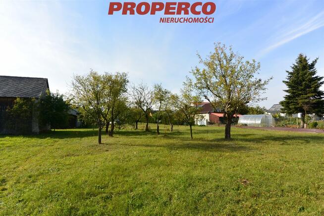 Działka Lipie gm. Brody