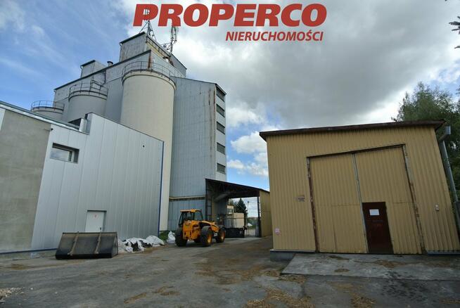 Lokal użytkowy Chmielnik