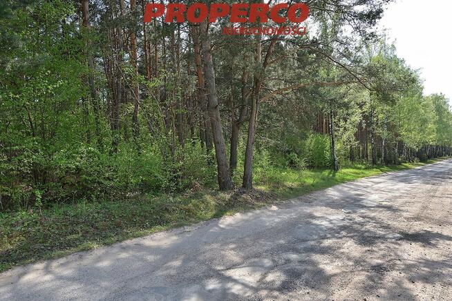 Działka Kielce Biesaki, Biesak