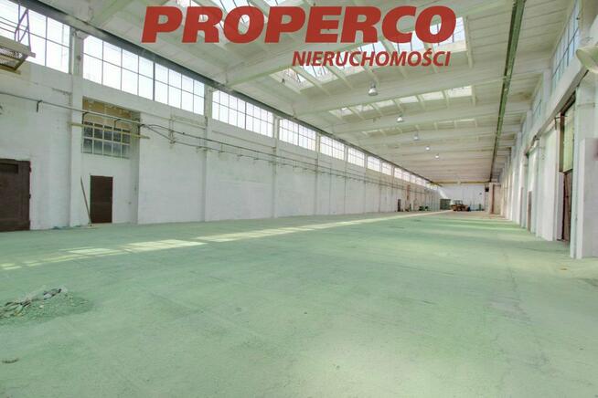 Lokal użytkowy Kielce