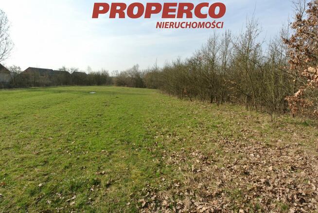 Dom Busko-Zdrój Budzyń