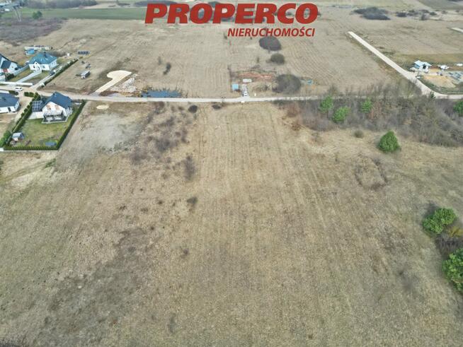 Działka Rykoszyn gm. Piekoszów, Urzędnicza