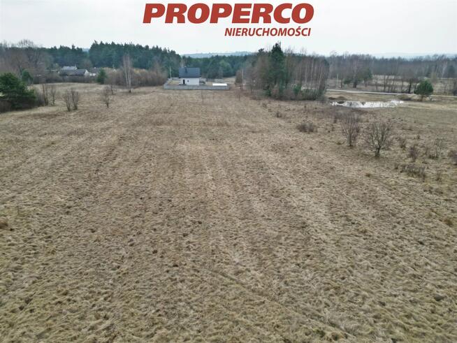 Działka Rykoszyn gm. Piekoszów, Urzędnicza