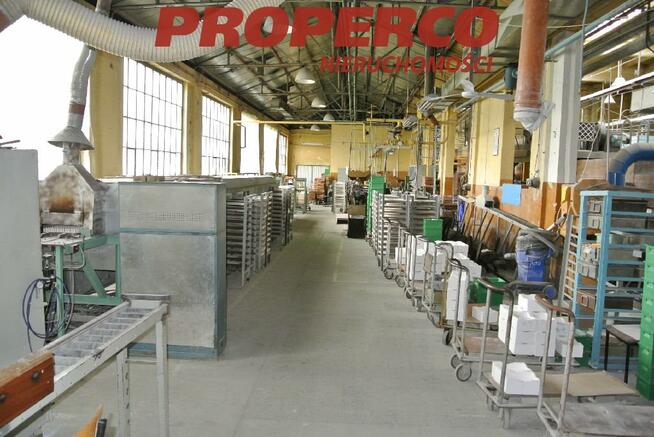 Lokal użytkowy Kielce