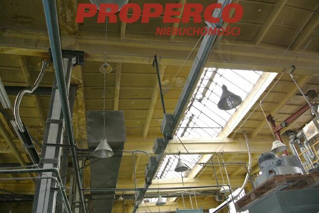 Lokal użytkowy Kielce