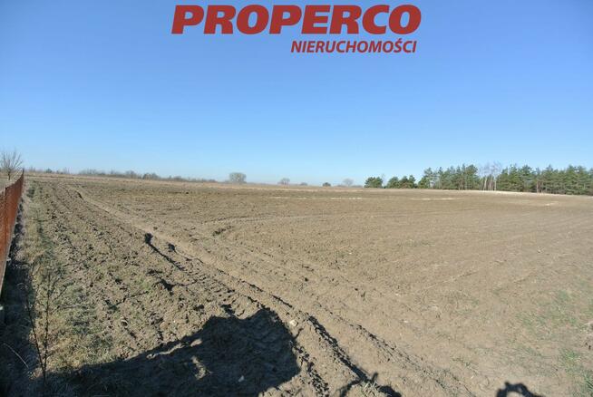 Działka Chmielnik Chomentówek