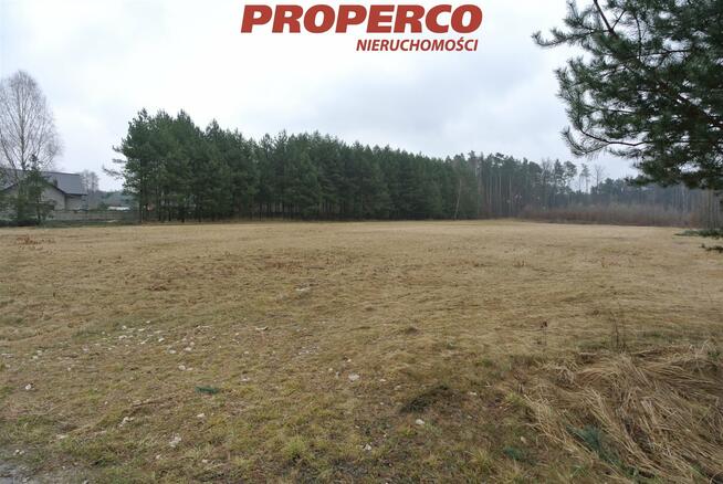 Działka Chmielnik Chmielnik