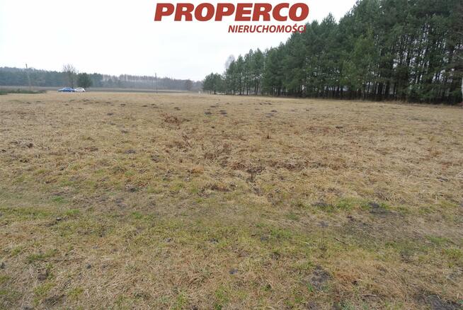 Działka Chmielnik Chmielnik