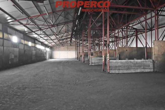 Lokal użytkowy Kielce Czarnów