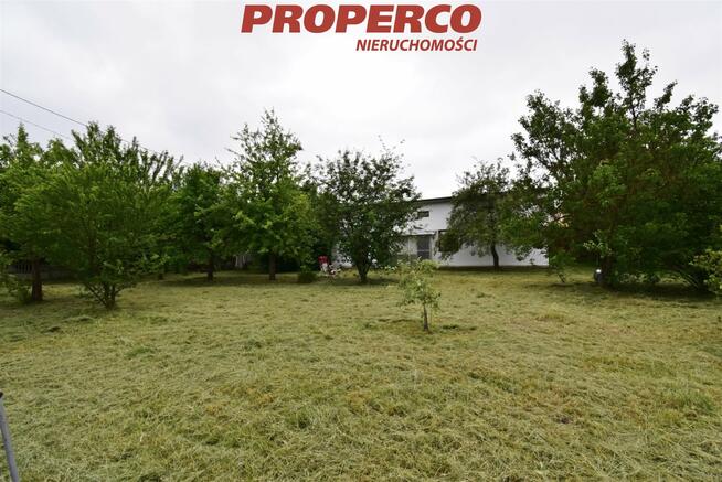 Działka Zgórsko gm. Sitkówka-Nowiny, Salonowa