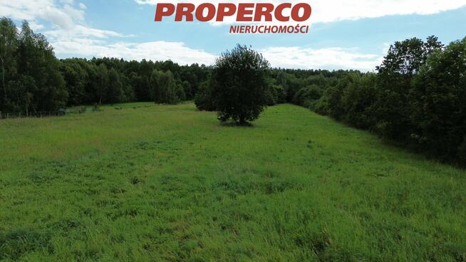 Działka Jaworznia gm. Piekoszów