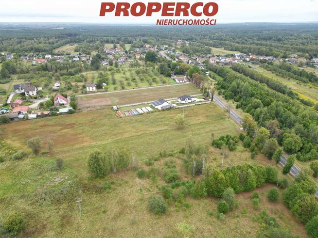 Działka Dęba-Kolonia gm. Ruda Maleniecka