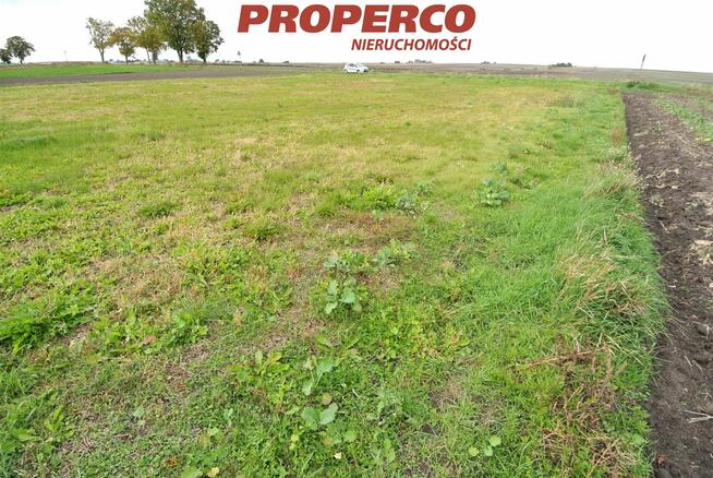 Działka Sędowice gm. Michałów