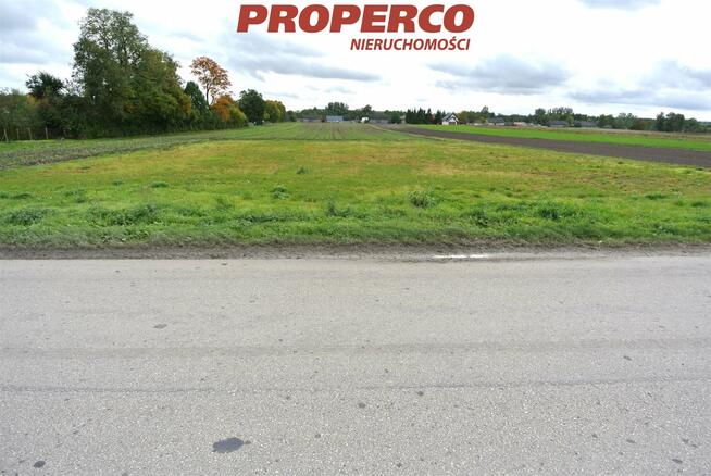 Działka Sędowice gm. Michałów