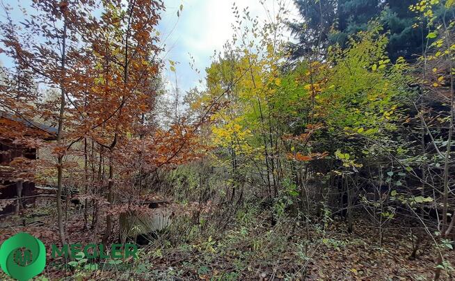 Działka w otulinie lasu