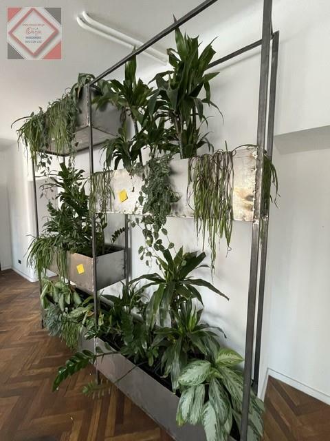 Lokal użytkowy Warszawa gm. Śródmieście Śródmieście