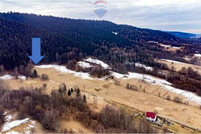 Duża działka 30 arów z 2 HA prywatnego lasu